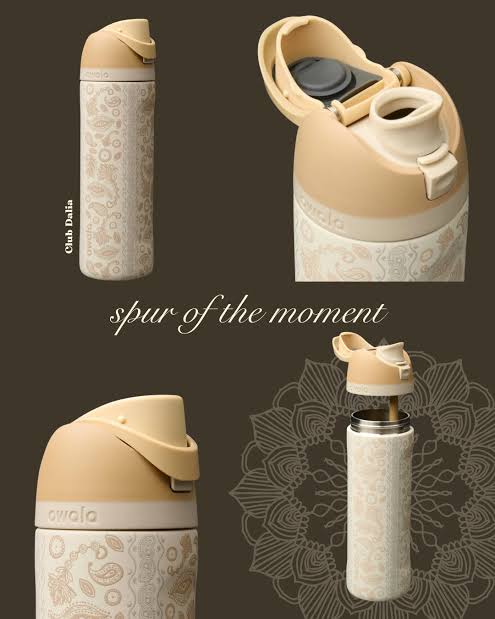 Owala FreeSip 32oz Stainless Steel Insulated Water Bottle – Western Collection Limited Edition