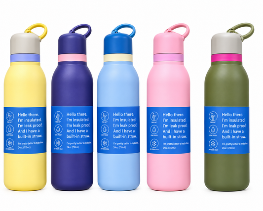 24oz Slim Insulated Stainless Steel Water Bottle with Built-In Straw