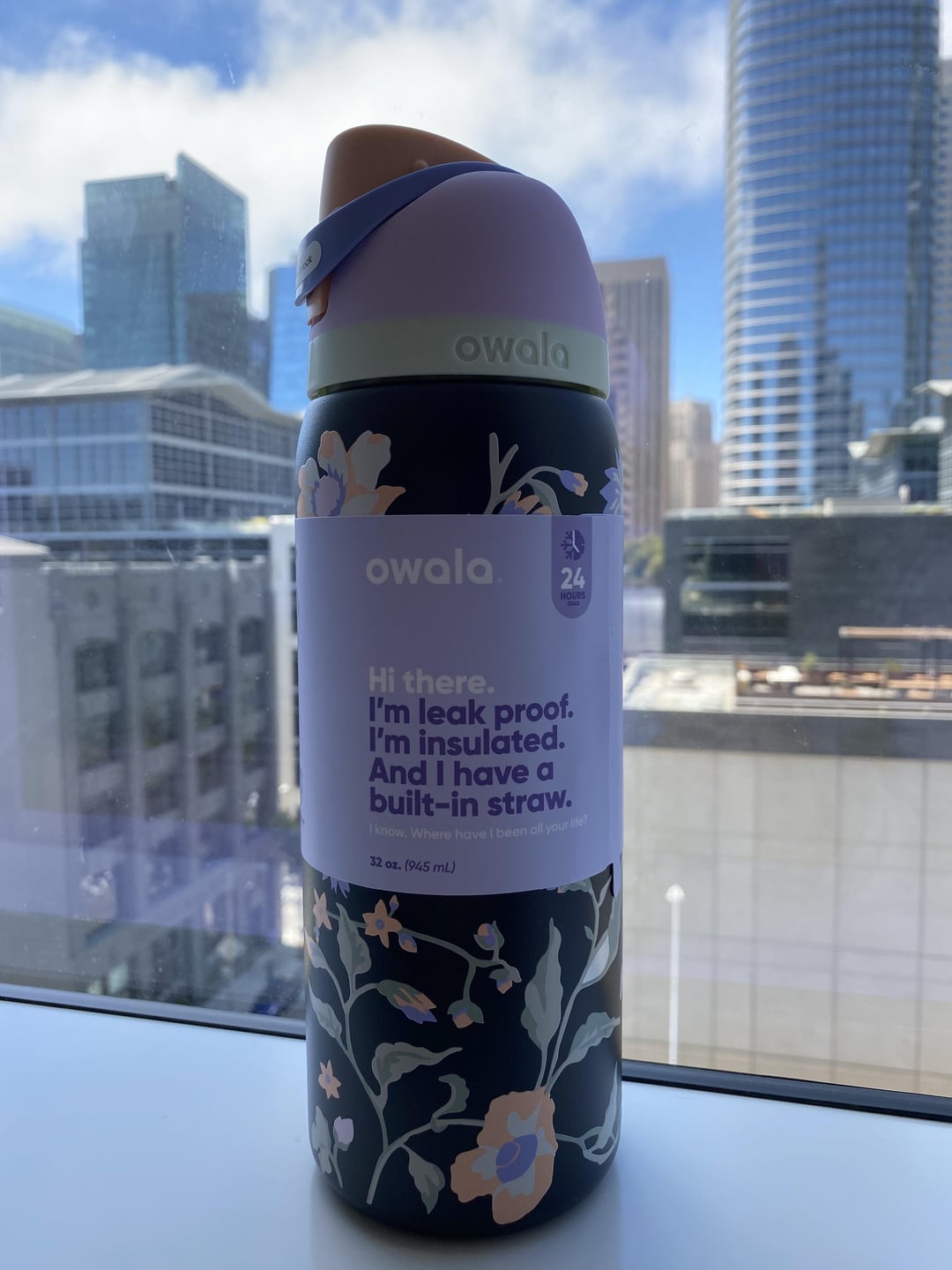 Owala Urban Outfitters UO Exclusive Midnight Garden 24oz