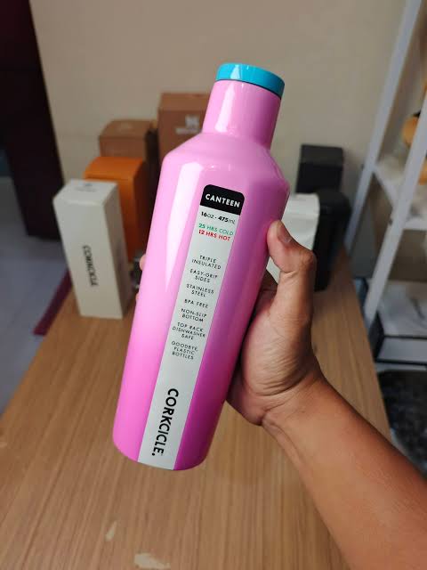 Corkcicle Canteen - 16oz Insulated Stainless Steel Water Bottle - Vibrant Pink