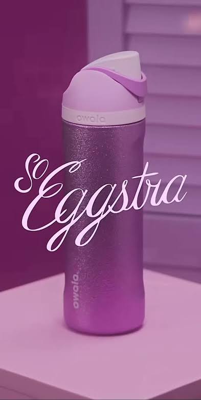 Original Owala 'Desert Vibes' Exclusive FreeSip Water Bottle - 32oz Purple