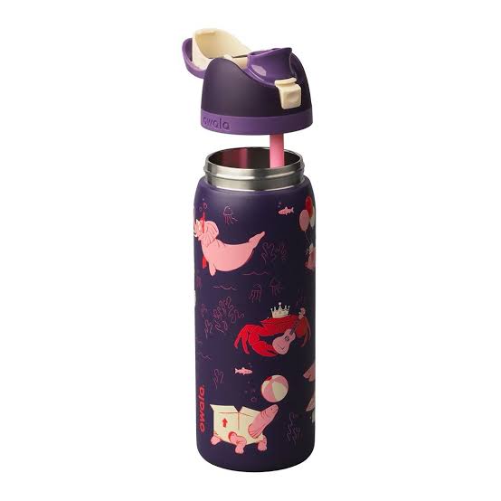 Owala FreeSip 32oz Insulated Stainless Steel Water Bottle – Go Halvsies (Birthday Bash 2026 Limited Edition)